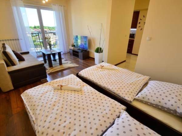 Apartament Antonio Apartman Zator Kültér fotó